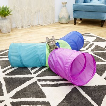 Cat playing in multicolored cat tunnel